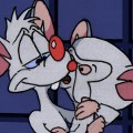 Pinky and the Brain illustration