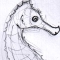 drawble for ilyenasylph